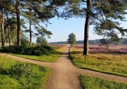 Groeiprogramma Groots leven