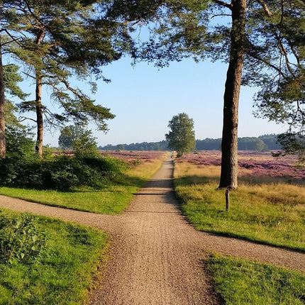 Groeiprogramma Groots leven